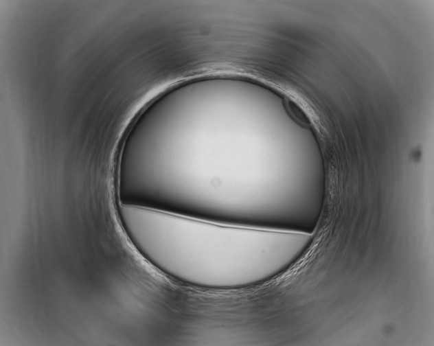X0000101211142200806270847