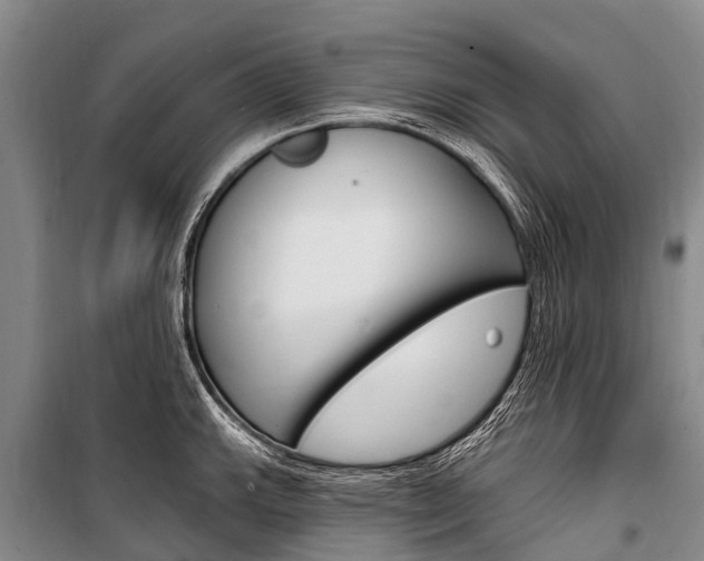 X0000101211143200806270847