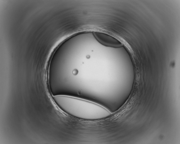 X0000101211144200806270847