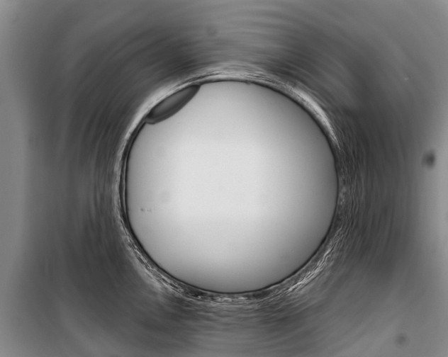 X0000101211146200806270847