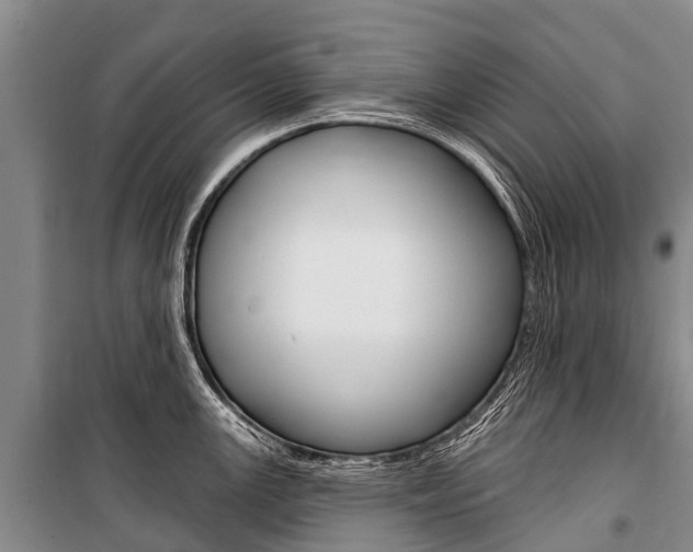 X0000101211147200806270847