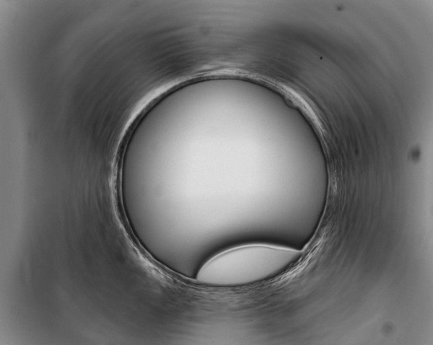 X0000101211149200806270848