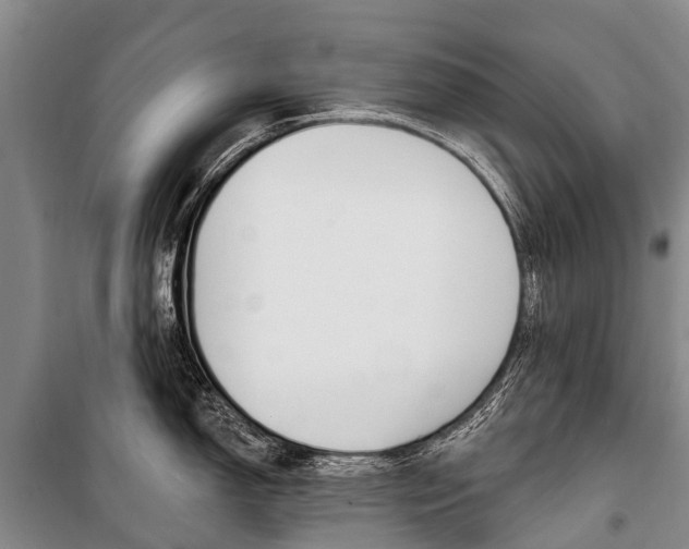 X0000101211150200806270848