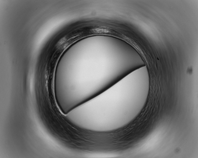 X0000101211151200806270848