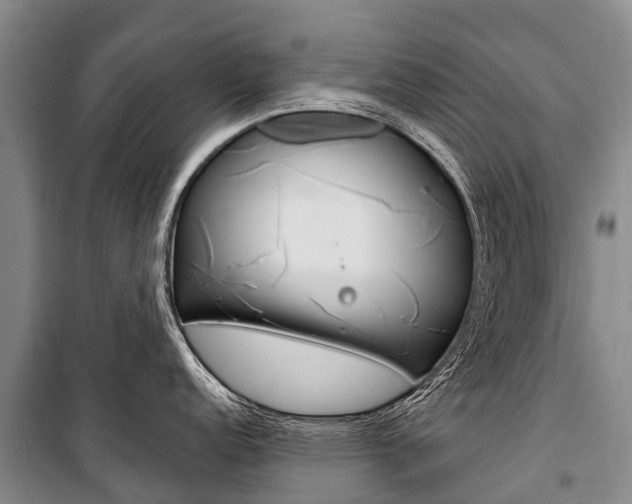 X0000101211152200806270848