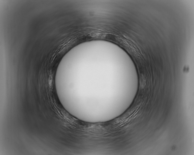 X0000101211154200806270847