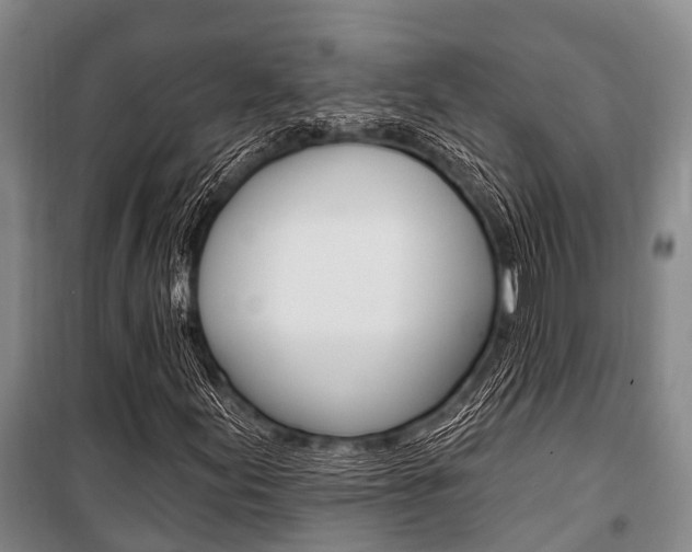 X0000101211155200806270847