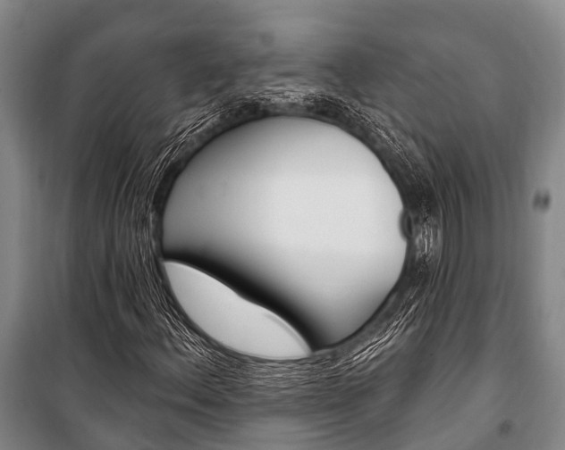 X0000101211156200806270847