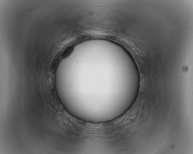 X0000101211157200806270847