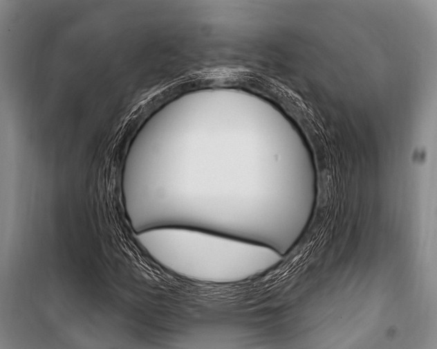 X0000101211158200806270847