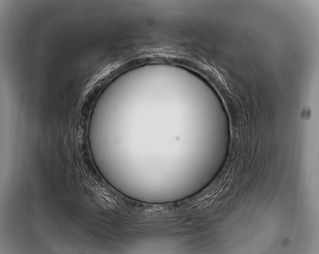 X0000101211159200806270847