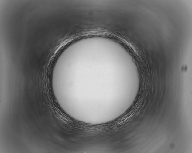 X0000101211160200806270847