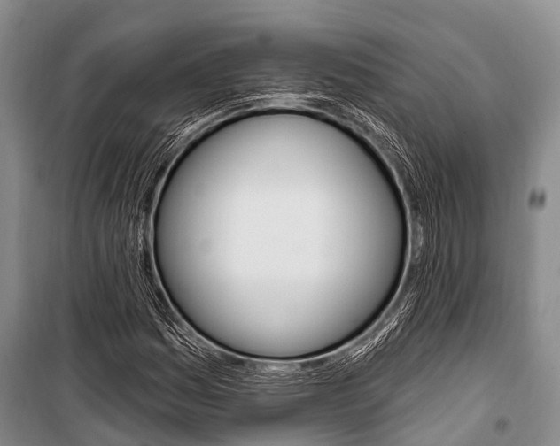 X0000101211161200806270847