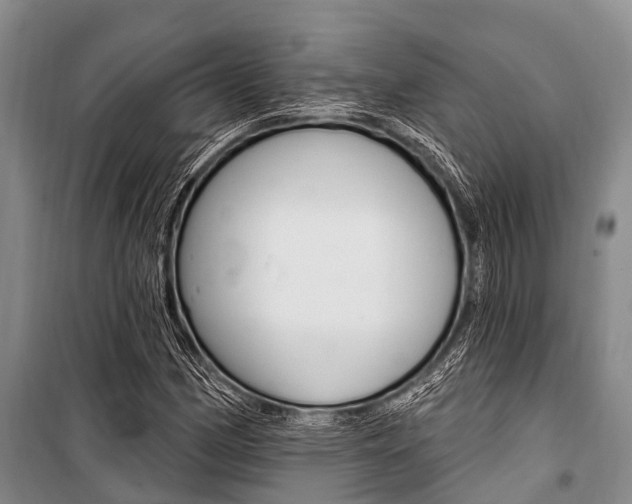 X0000101211162200806270847