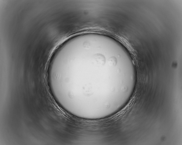 X0000101211164200806270847