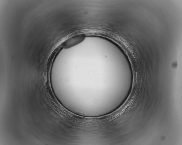 X0000101211165200806270847
