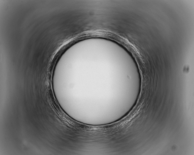 X0000101211166200806270847