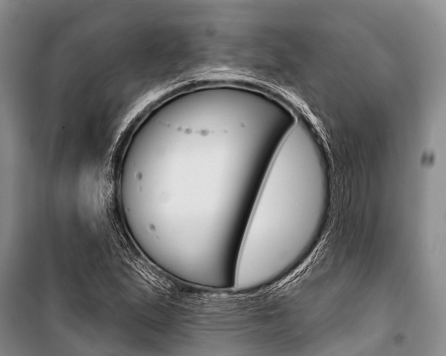 X0000101211167200806270847