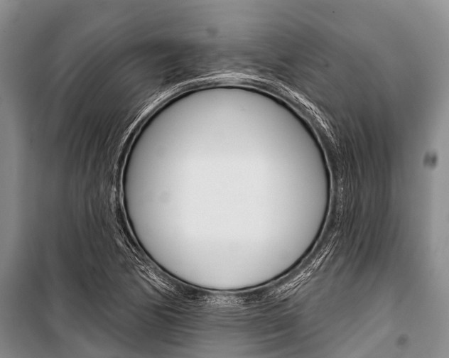 X0000101211170200806270846
