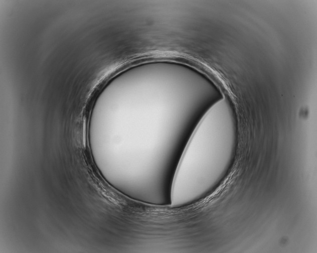 X0000101211171200806270846