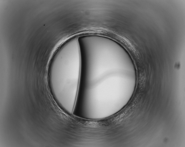 X0000101211172200806270846