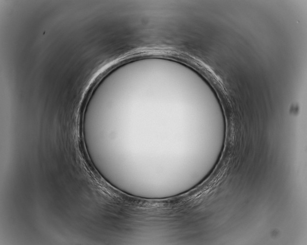 X0000101211174200806270846