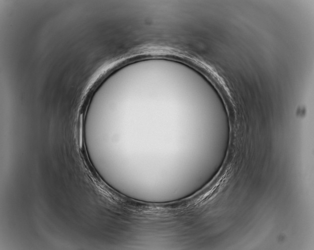 X0000101211175200806270846