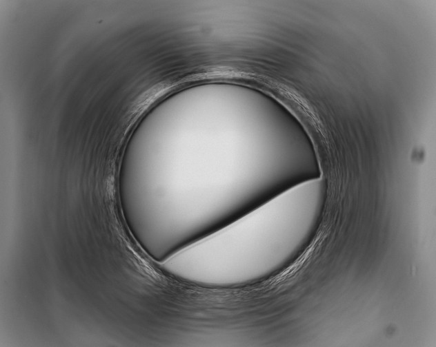 X0000101211177200806270846