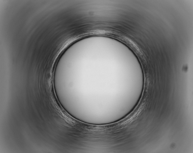 X0000101211178200806270846