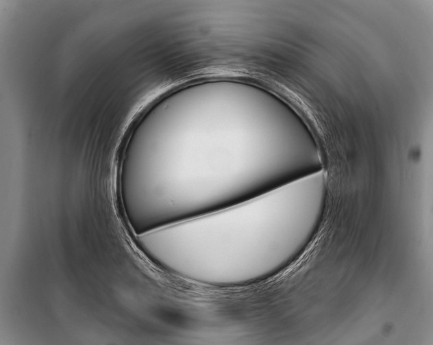 X0000101211179200806270846
