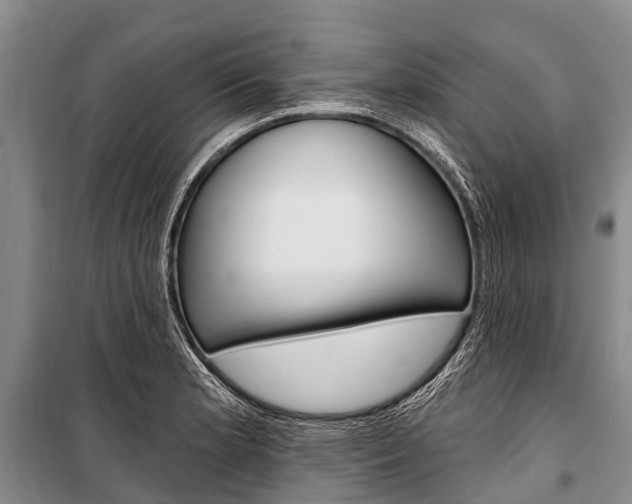 X0000101211181200806270846