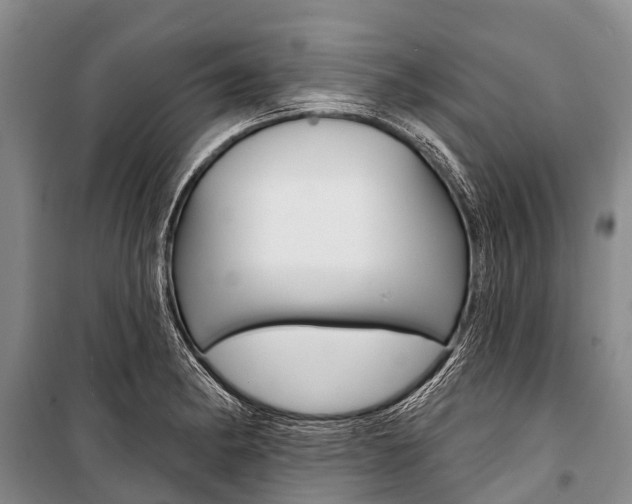 X0000101211182200806270846