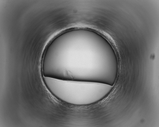 X0000101211183200806270846