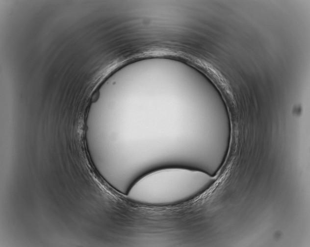 X0000101211185200806270846