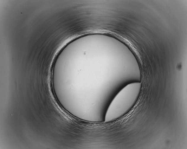 X0000101211187200806270846