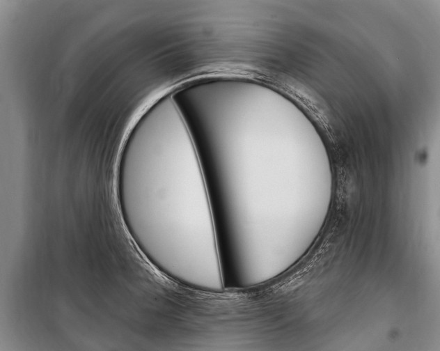 X0000101211188200806270846