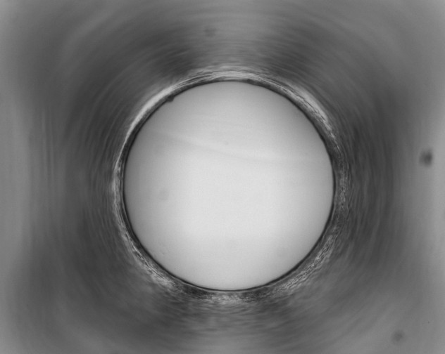 X0000101211190200806270846