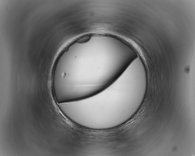 X0000101211191200806270846