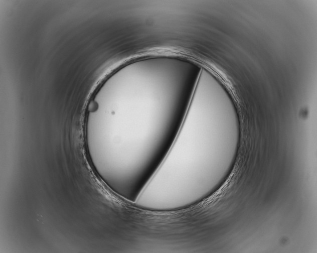 X0000101211192200806270846