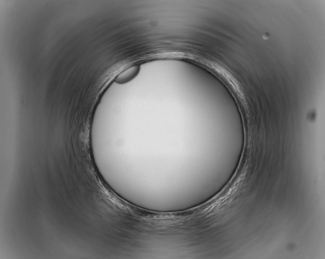 X0000101211193200806270846