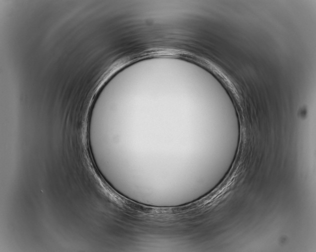 X0000101211194200806270846