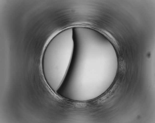 X0000101211196200806270846