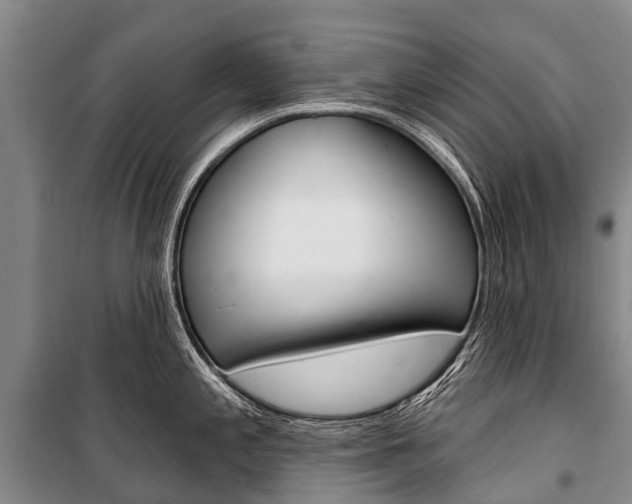 X0000101211197200806270846