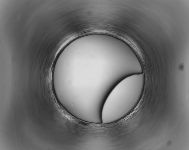 X0000101211198200806270846