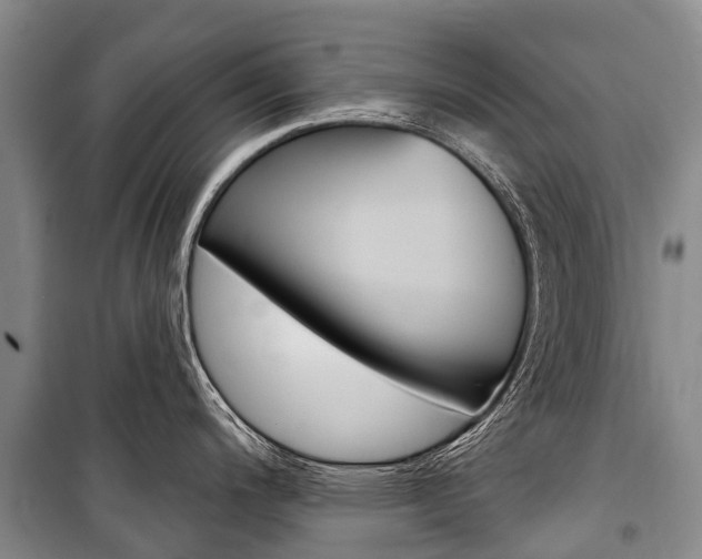 X0000101211200200806270846