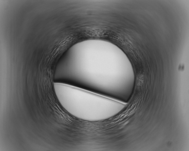 X0000101211202200806270845