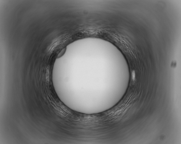 X0000101211203200806270845