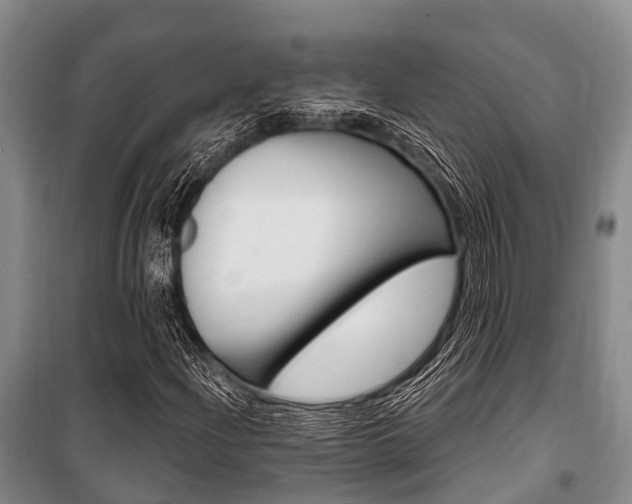 X0000101211204200806270845