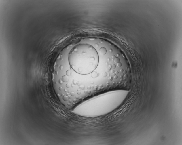 X0000101211205200806270845