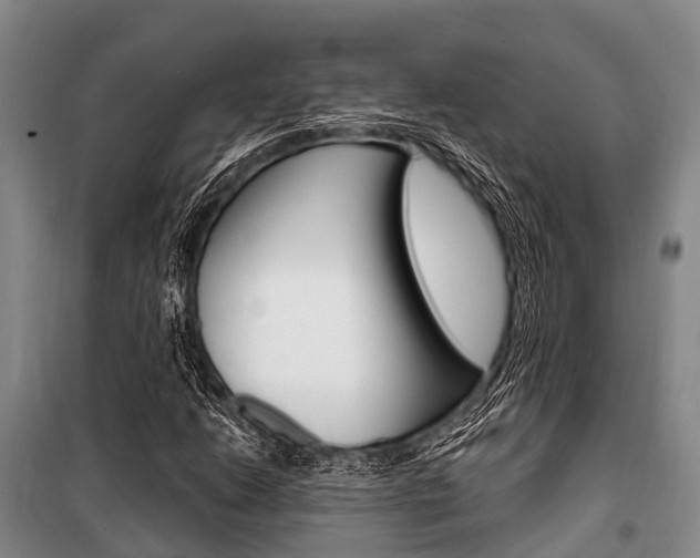X0000101211206200806270845